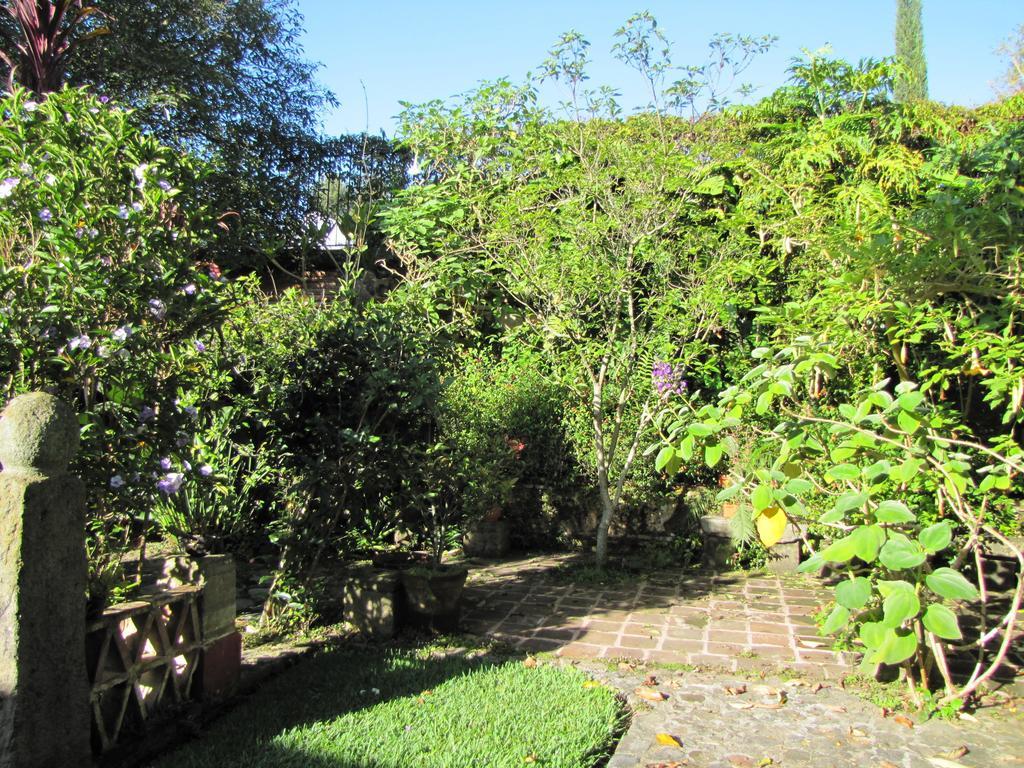 Апартаменты Casita Santa Rosa Антигуа-Гватемала Номер фото